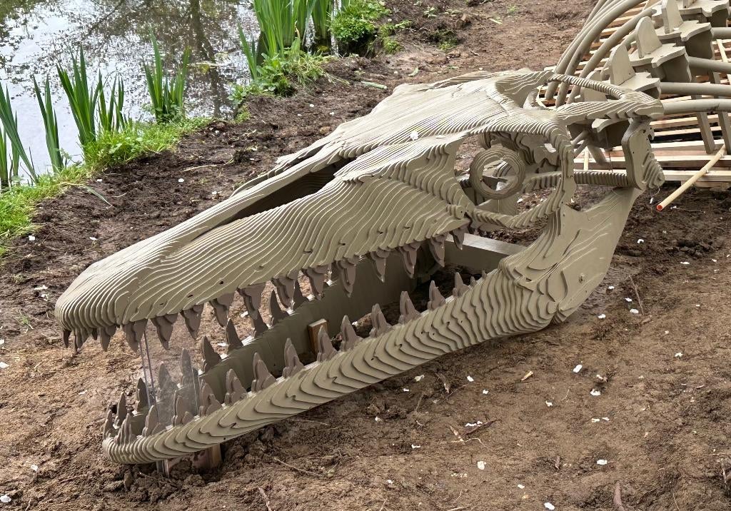 Mosasaurus schedel ware grote, Ophalen, Fossiel