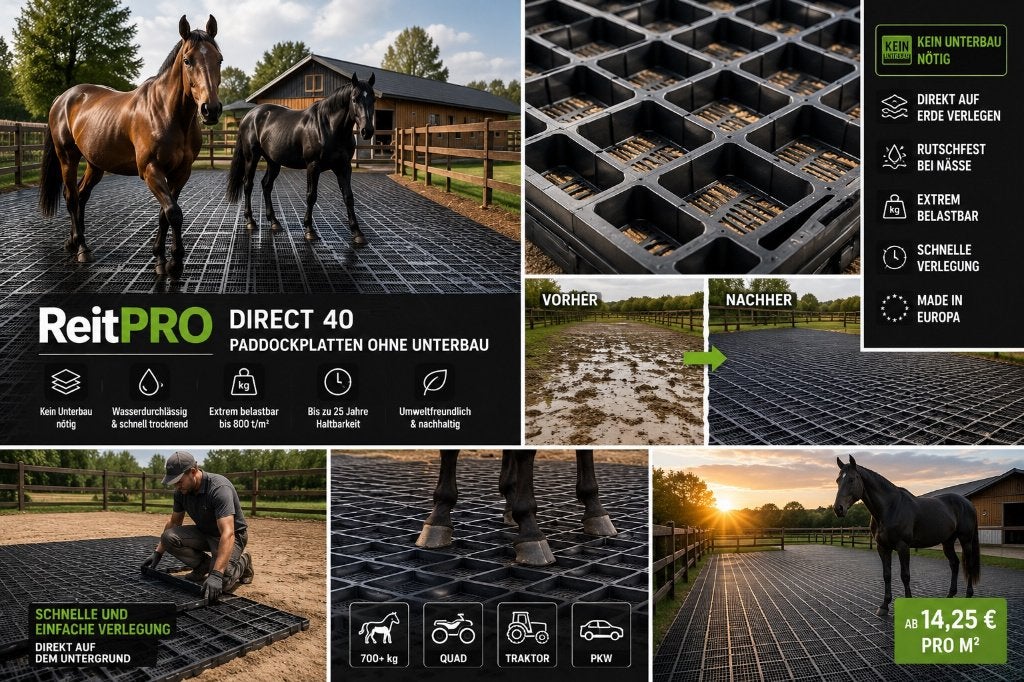 Paddockplaten kopen | Sterke Grasroosters & Weideplaten, Weidegang