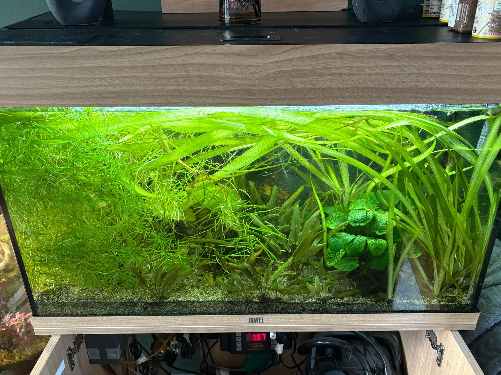 Juwel rio 15 aquarium, Ophalen, Gebruikt, Leeg aquarium, Juwel