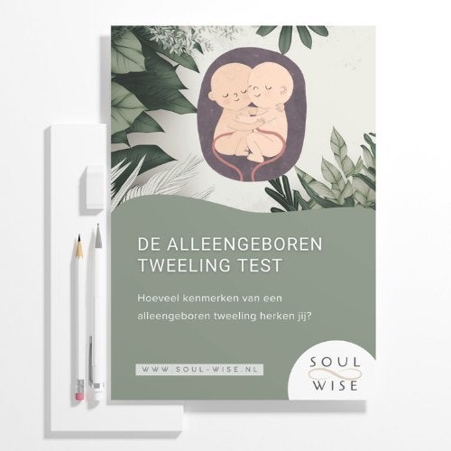 Alleengeboren tweeling test (e-book), Boeken, Overige onderwerpen, Tessa van der Velden