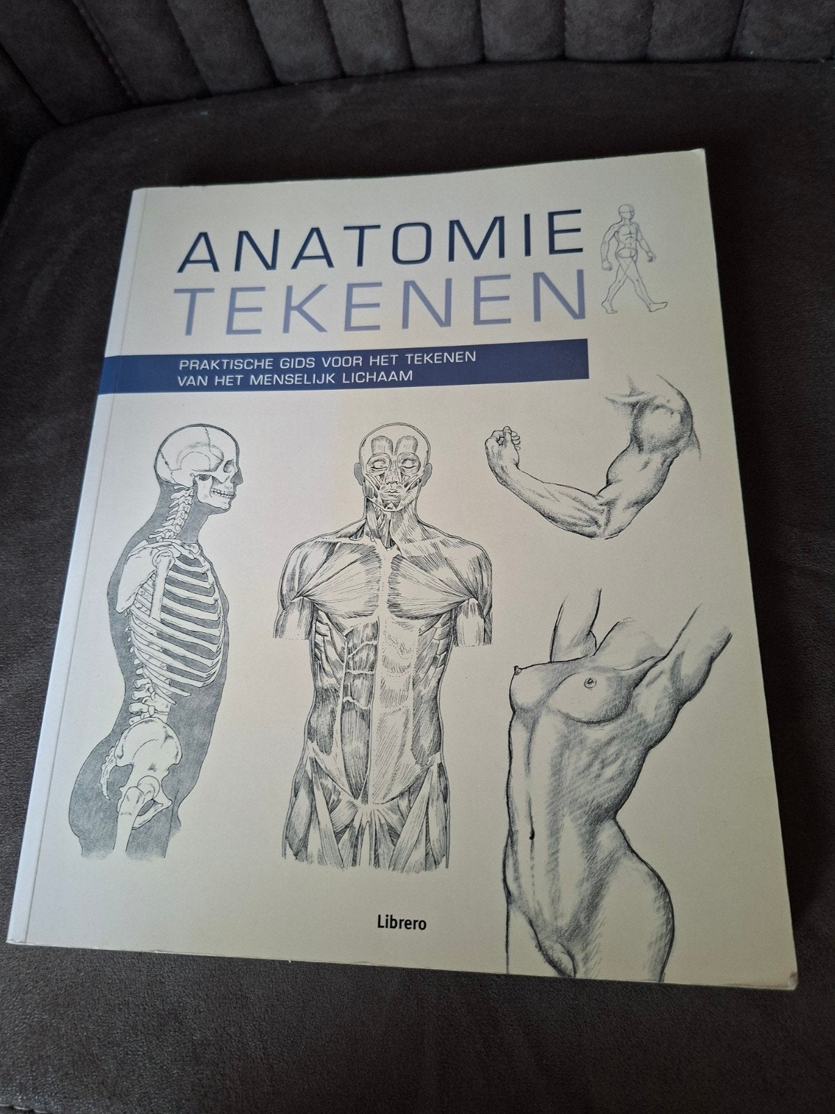 Anatomie Tekenen  Praktische Gids voor het Menselijk Lichaam, Ophalen of Verzenden, Zo goed als nieuw, Boek of Gids