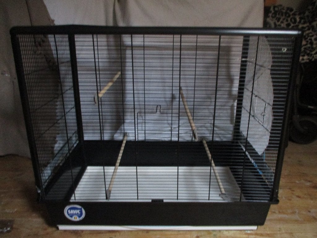 Grote vogelkooi + accessoires, Ophalen, Zo goed als nieuw, Metaal, Vogelkooi