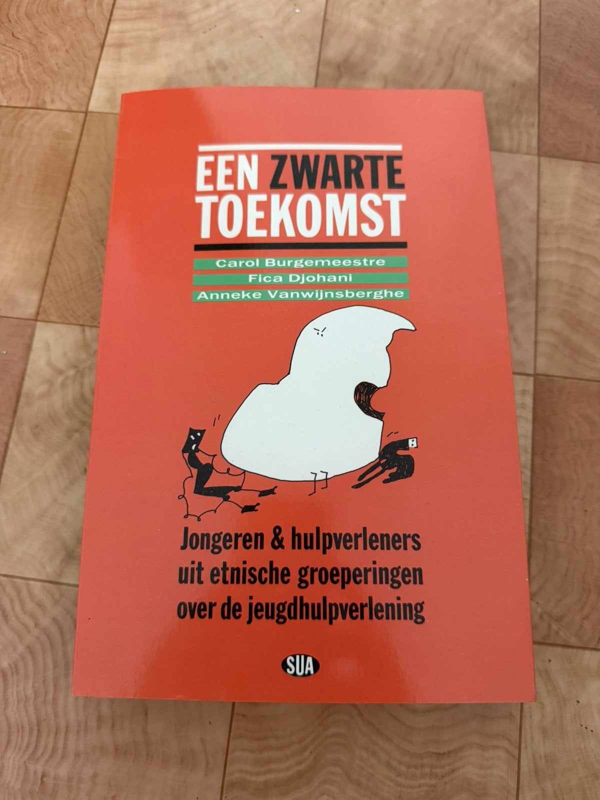 Een Zwarte Toekomst Boek, Ophalen, Zo goed als nieuw