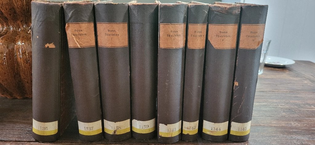 Brehms Tierleben - Algemeine Kunde des Thierreichs, Boeken, Alfred Brehm, Natuurwetenschap, Ophalen, Gelezen