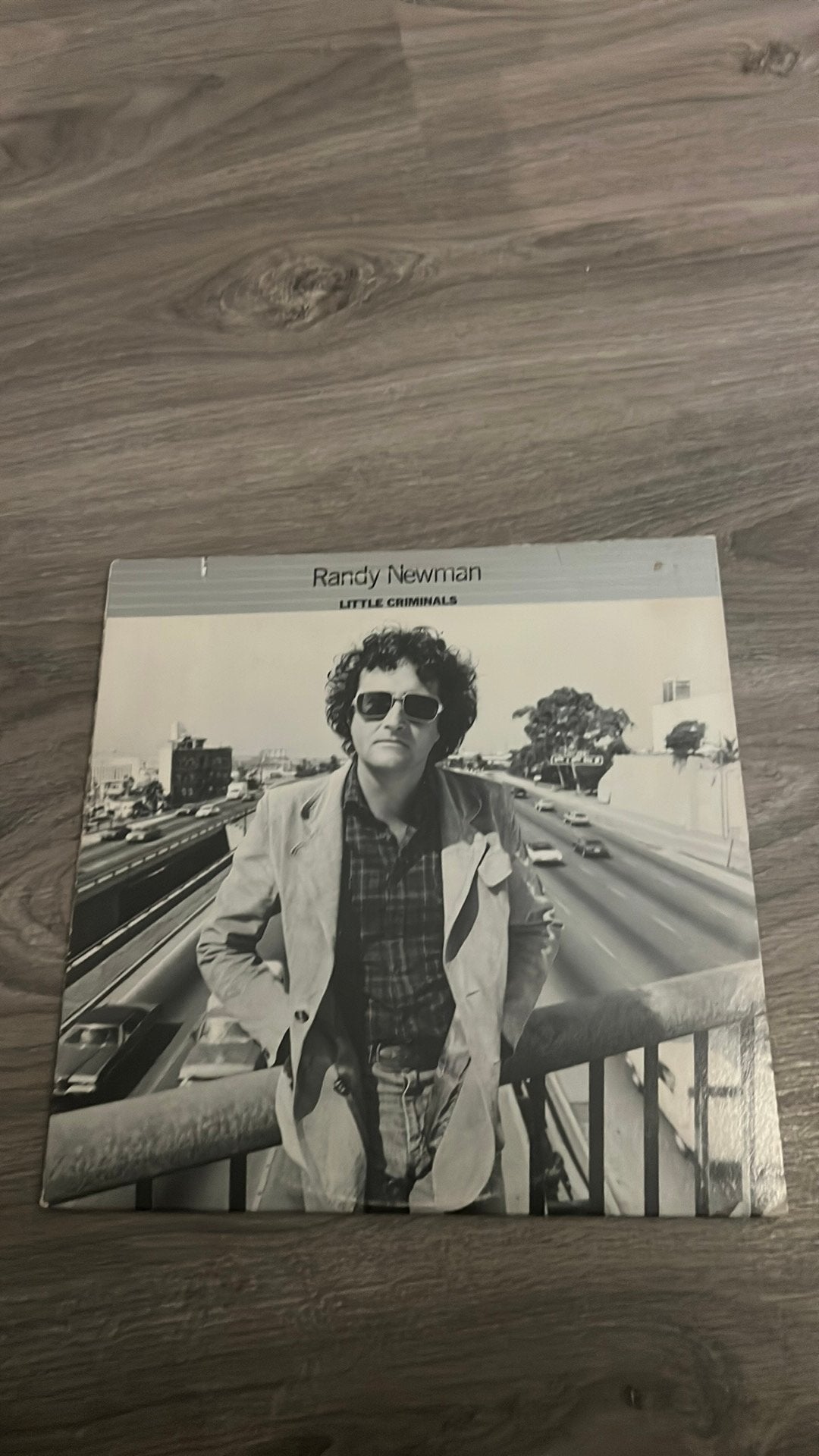 LP Randy Newman little criminals, Cd's en Dvd's, Ophalen of Verzenden, Zo goed als nieuw, 12 inch, Poprock