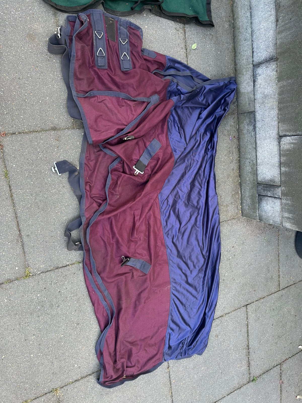 Paardendekens (zomer, vlieg en zweet), Dieren en Toebehoren, Ophalen, Gebruikt