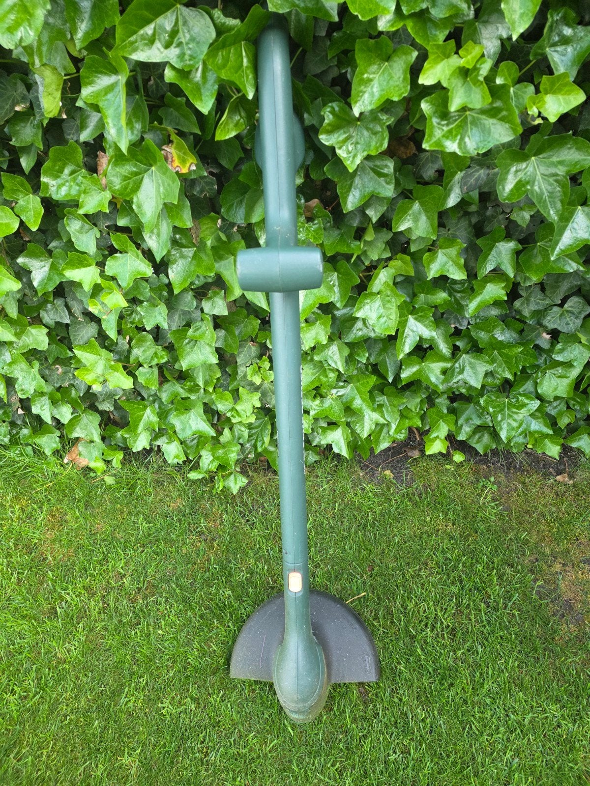 Black & Decker GL540/H2 Elektrische Grastrimmer, Tuin en Terras, Ophalen, Gebruikt, Elektrisch, Black & Decker