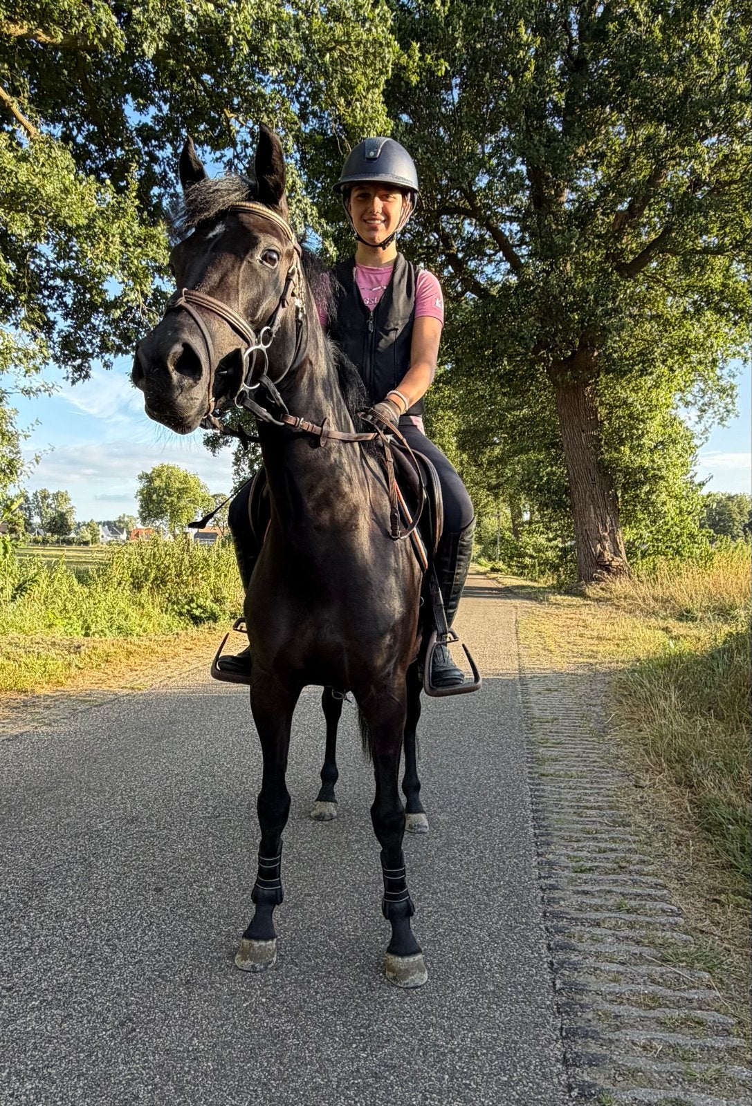 Fantastische super lieve New Forrest C Pony merrie 4 jaar, Dieren en Toebehoren, Pony's, Merrie, Met stamboom, Springpony, Zadelmak