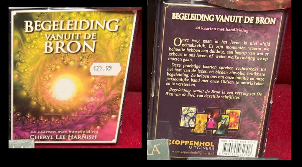 Nog maar 1 - Orakel kaart -Cheryl Lee Harnish vanuit de Bron, Tarot of Kaarten leggen, Overige typen, Nieuw, Ophalen of Verzenden