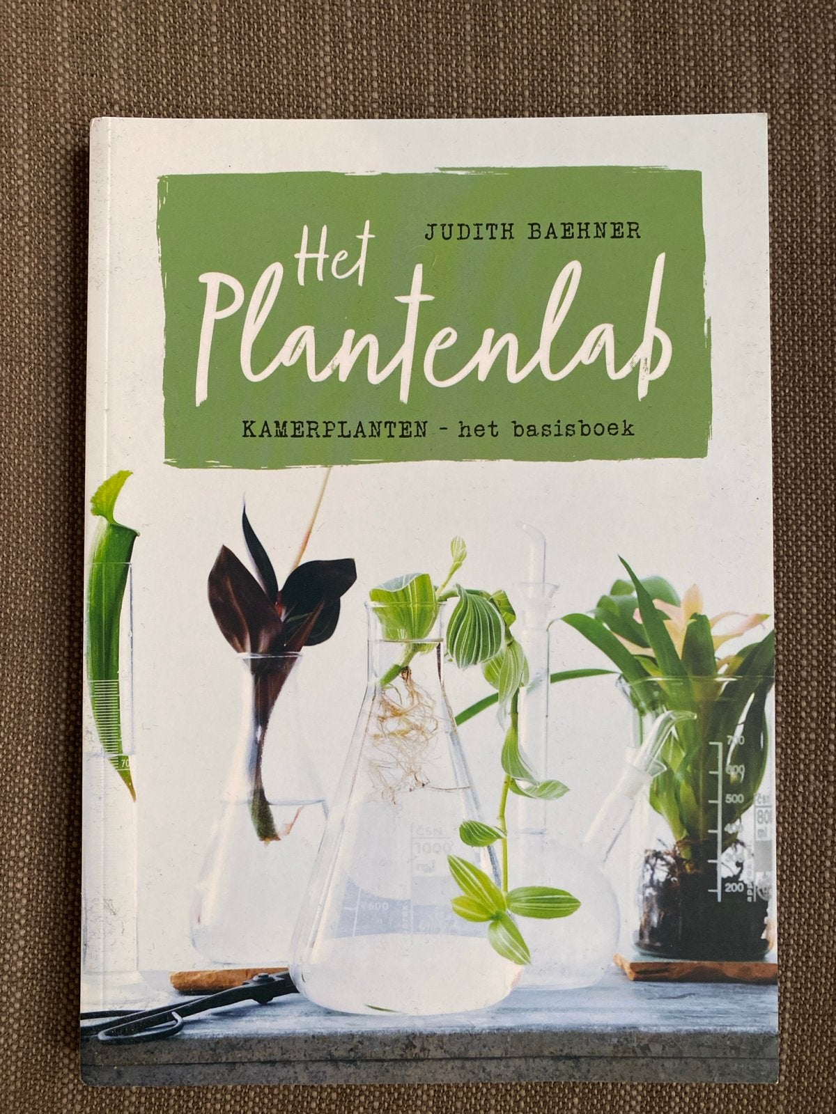 Judith Baehner - Plantenlab, Boeken, Bloemen, Planten en Bomen, Ophalen of Verzenden, Zo goed als nieuw, Judith Baehner
