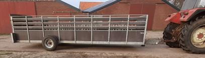 Veekar voor schapen/geiten/varkens 6 x 2meter, Dieren en Toebehoren, Vrouwelijk, Schaap