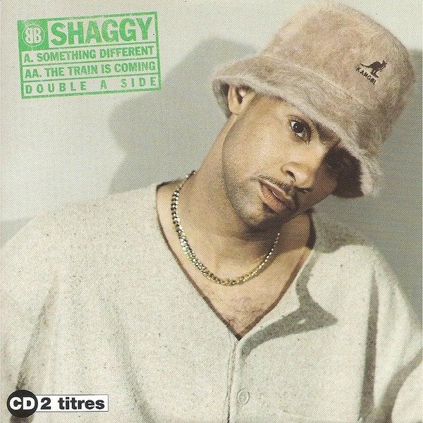 Shaggy : Something Different CD Single Card Sleeve, Cd's en Dvd's, Ophalen of Verzenden, Zo goed als nieuw, Reggae en Ska