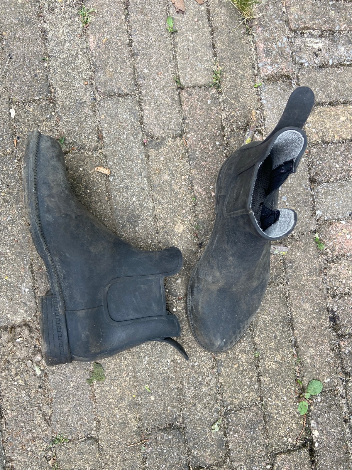 Paardrijschoenen, Ophalen of Verzenden, Gebruikt, Schoeisel