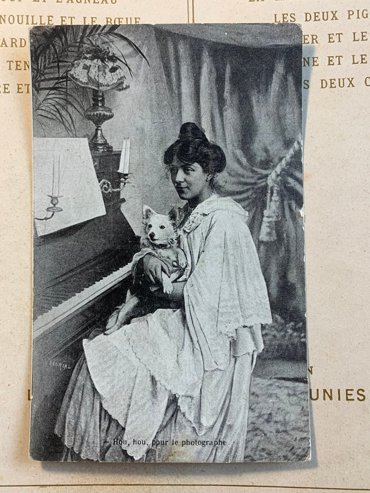 1905 Dame met hondje aan de piano (LE), Ophalen of Verzenden, Voor 1920, Gelopen, Overige thema's