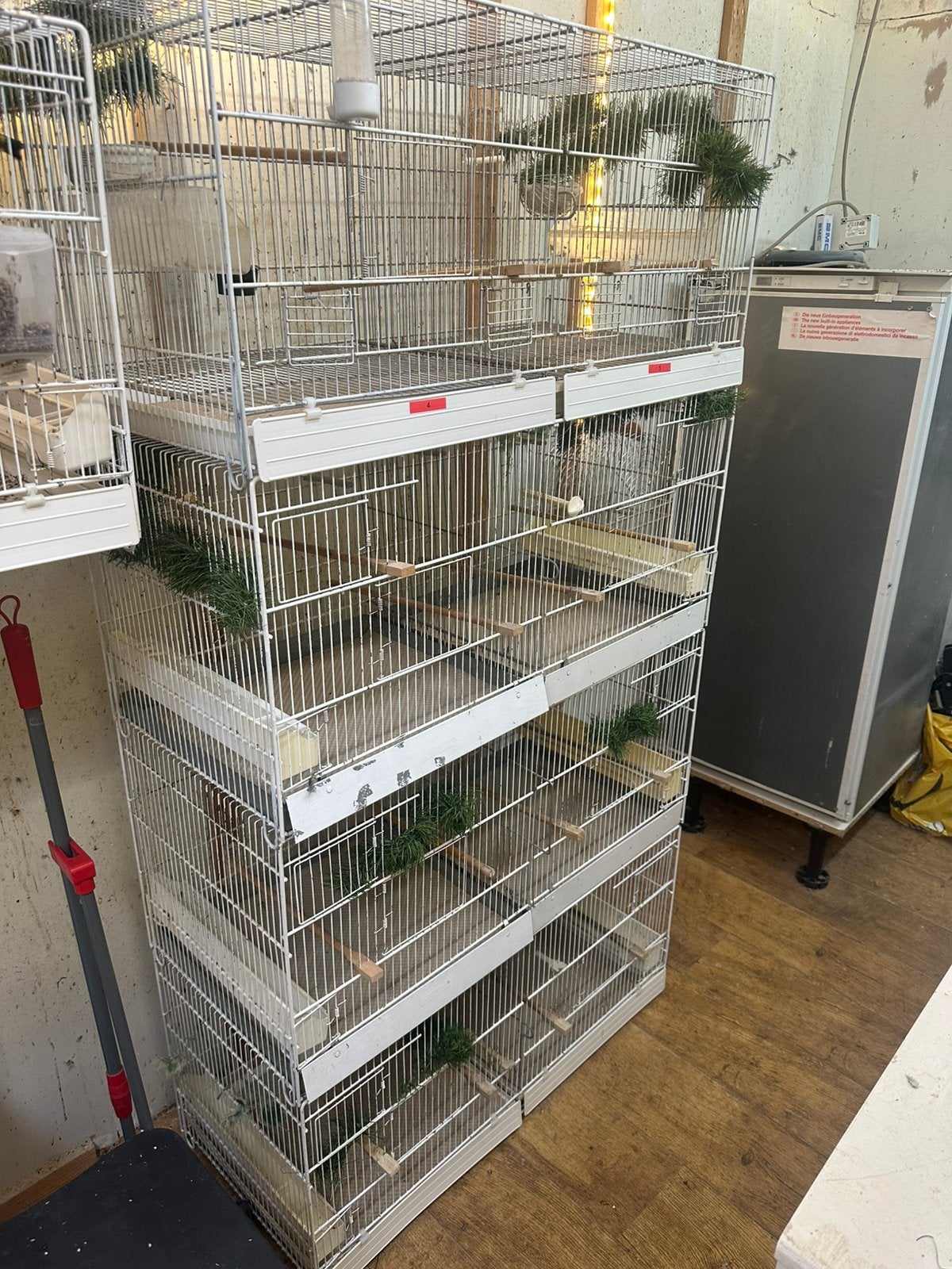 Vogels kooien en broed kooien, Ophalen of Verzenden, Zo goed als nieuw, Hout, Broedkooi of Kweekkooi