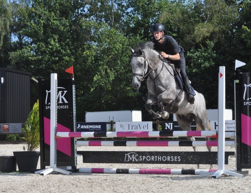 5 jarige ruin colorit Z, Dieren en Toebehoren, Springpaard, Ruin, 3 tot 6 jaar, 165 tot 170 cm