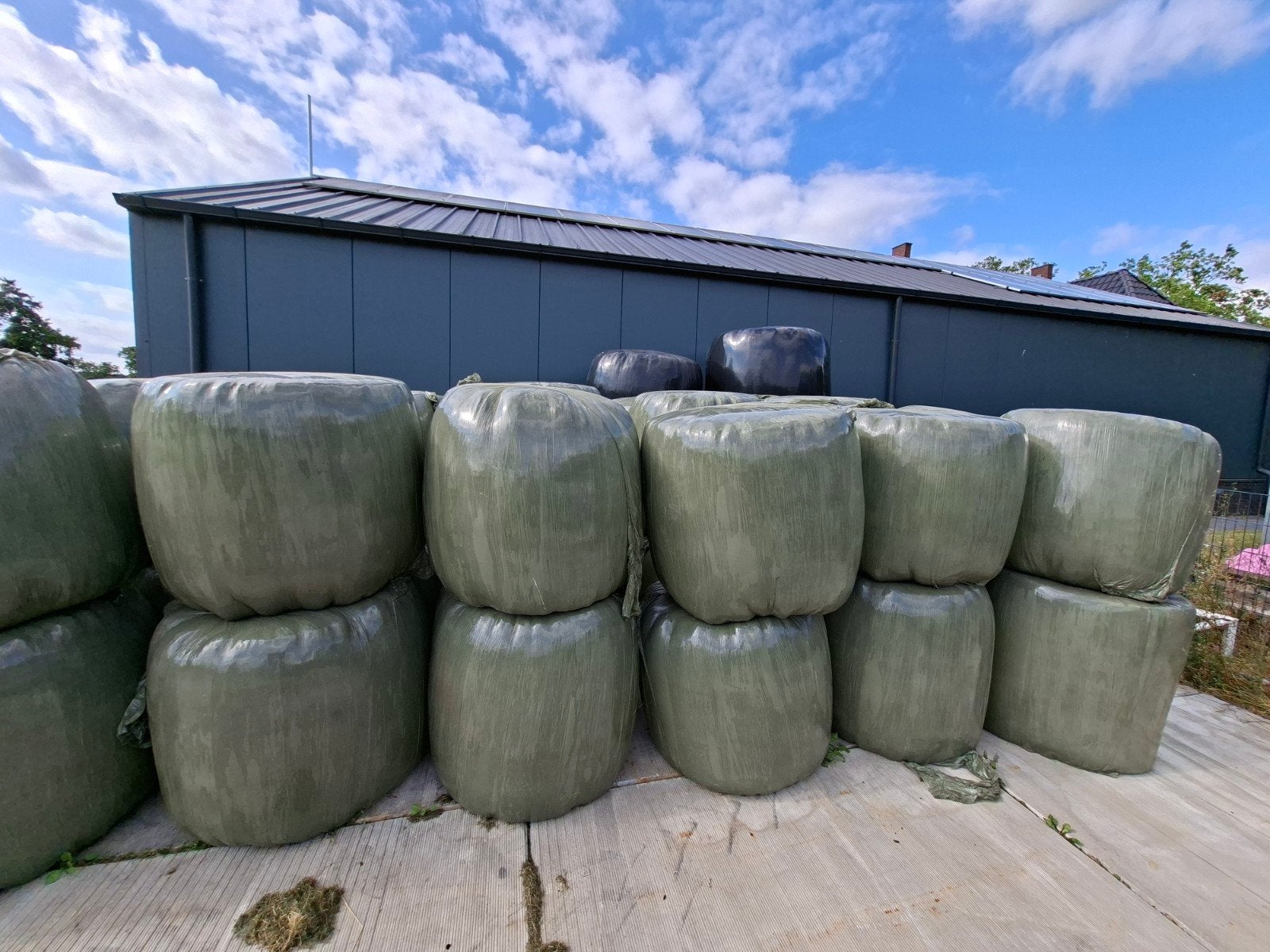 kuil/ hooibalen te koop, Ophalen, Vee