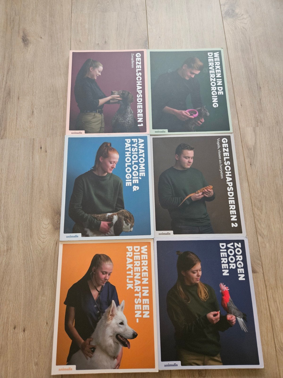 Boekenpakket Paraveterinair, Boeken, Ophalen of Verzenden, Zo goed als nieuw, MBO, Alpha