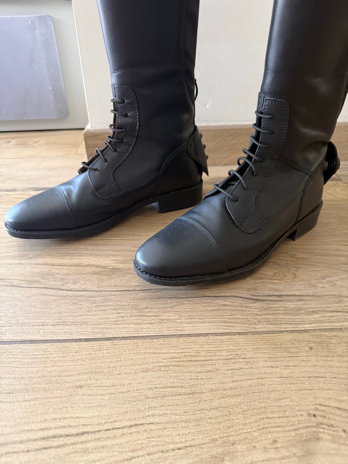 Nieuwe rijlaarzen, HKM maat 39, schachtmaat L, hoogte 49, L, Dressuur, Overige merken, Nieuw