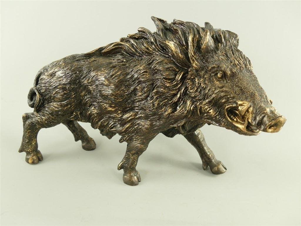 zwijn , wildzwijn, Ophalen of Verzenden