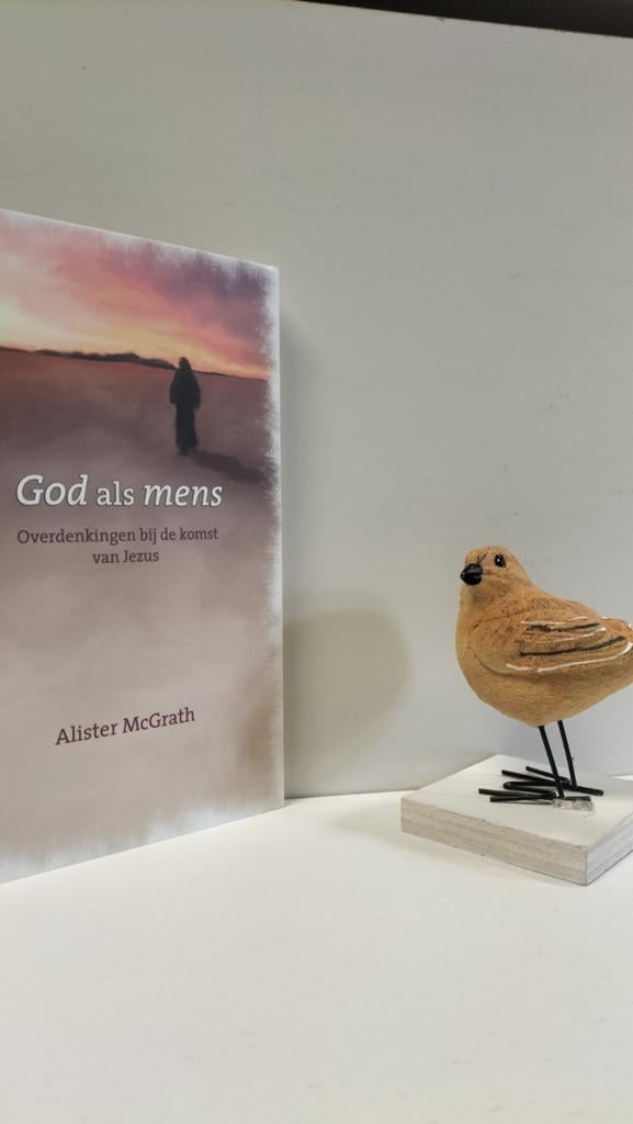 McGrath, Alister;  God als mens, Ophalen of Verzenden, Gelezen, Christendom | Protestants