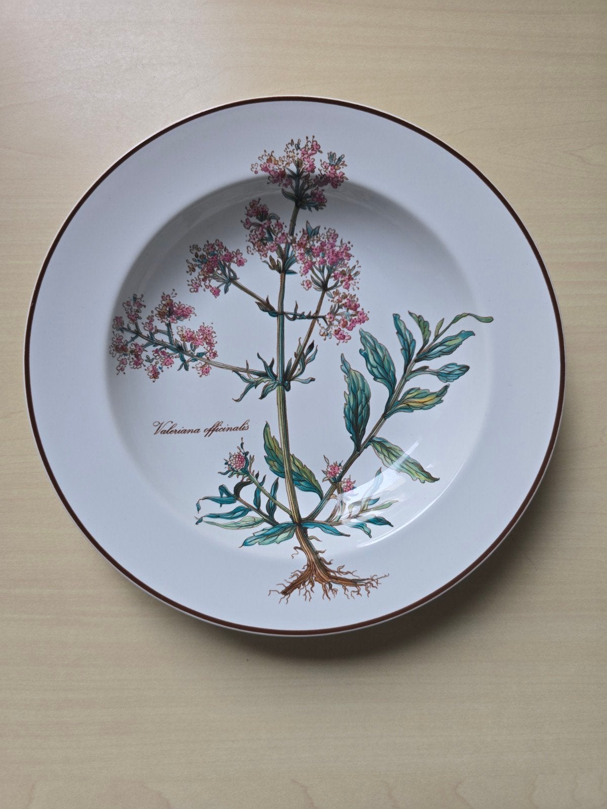 Villleroy & Boch Botanica Vitroporselein Diep Bord, Villeroy & Boch, Ophalen of Verzenden, Zo goed als nieuw, Bord(en)