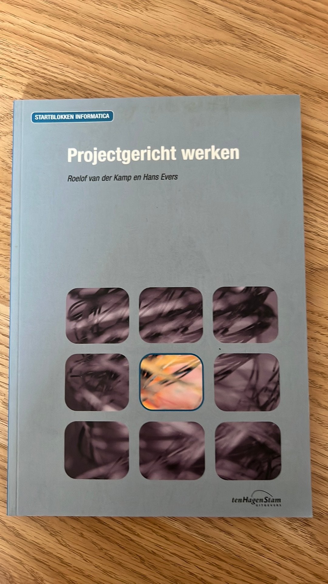 R. van der Kamp - Projectgericht werken, Ophalen of Verzenden, Zo goed als nieuw, R. van der Kamp; H. Evers