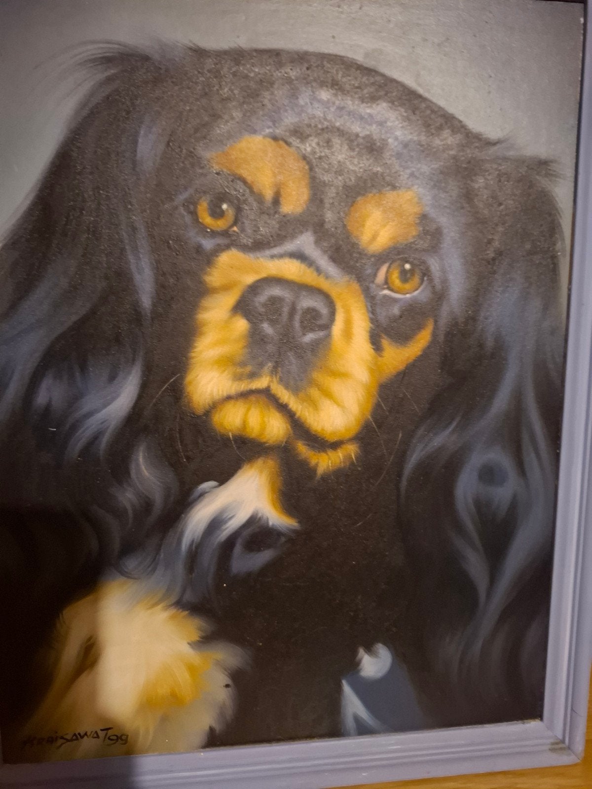 GEZOCHT: Cavalier King Charles Spaniel, Meerdere dieren, Eén hond, Klein, 3 tot 5 jaar