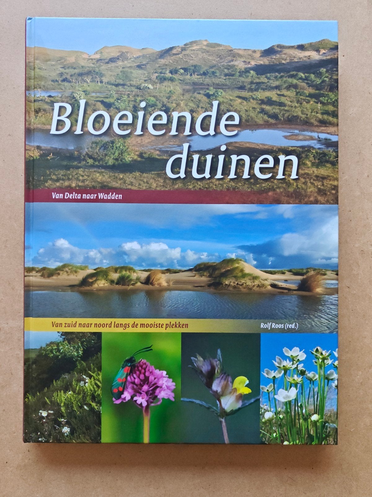Bloeiende duinen: Van Delta naar Wadden - Natuurboek, Verzenden, Bloemen, Planten en Bomen, Rolf Roos (red.)