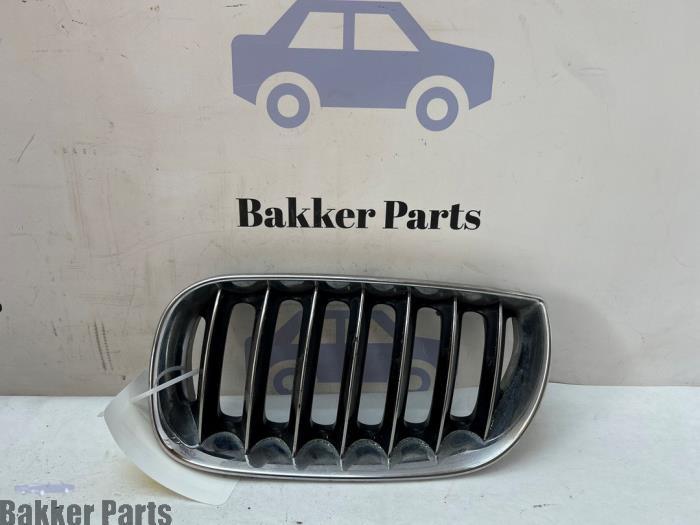 Grille van een BMW X3, Gebruikt, -, -, Ophalen of Verzenden