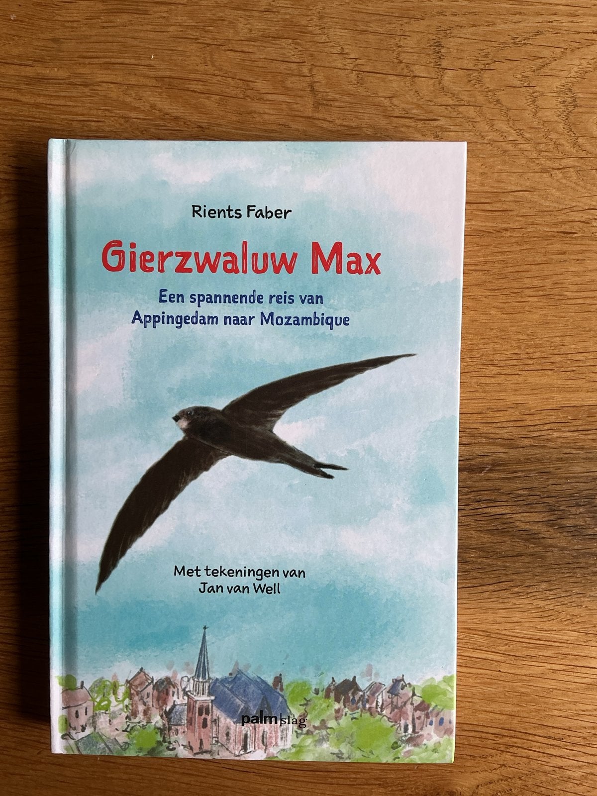 Gierzwaluw Max: Een spannende reis van Appingedam naar Mozam, Ophalen of Verzenden, Nieuw, Fictie algemeen
