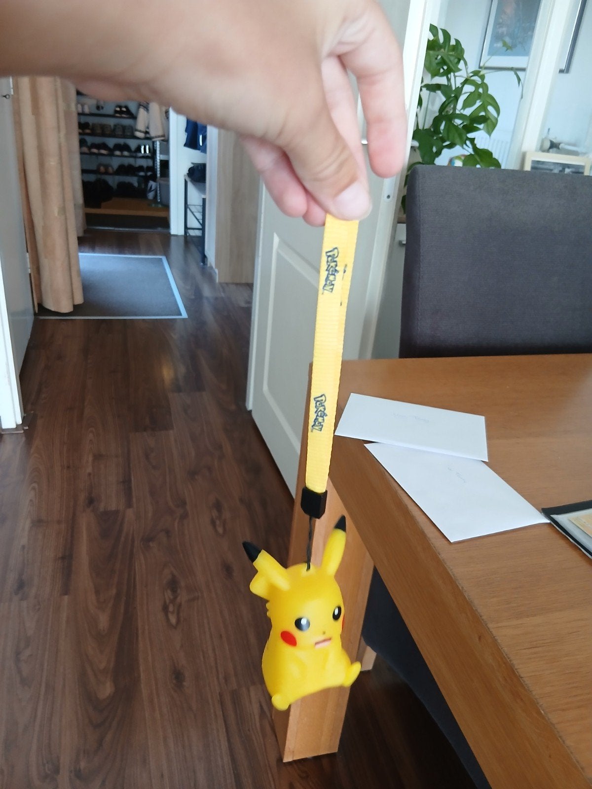 Pikachu lanyard, Verzamelen, Ophalen, Zo goed als nieuw