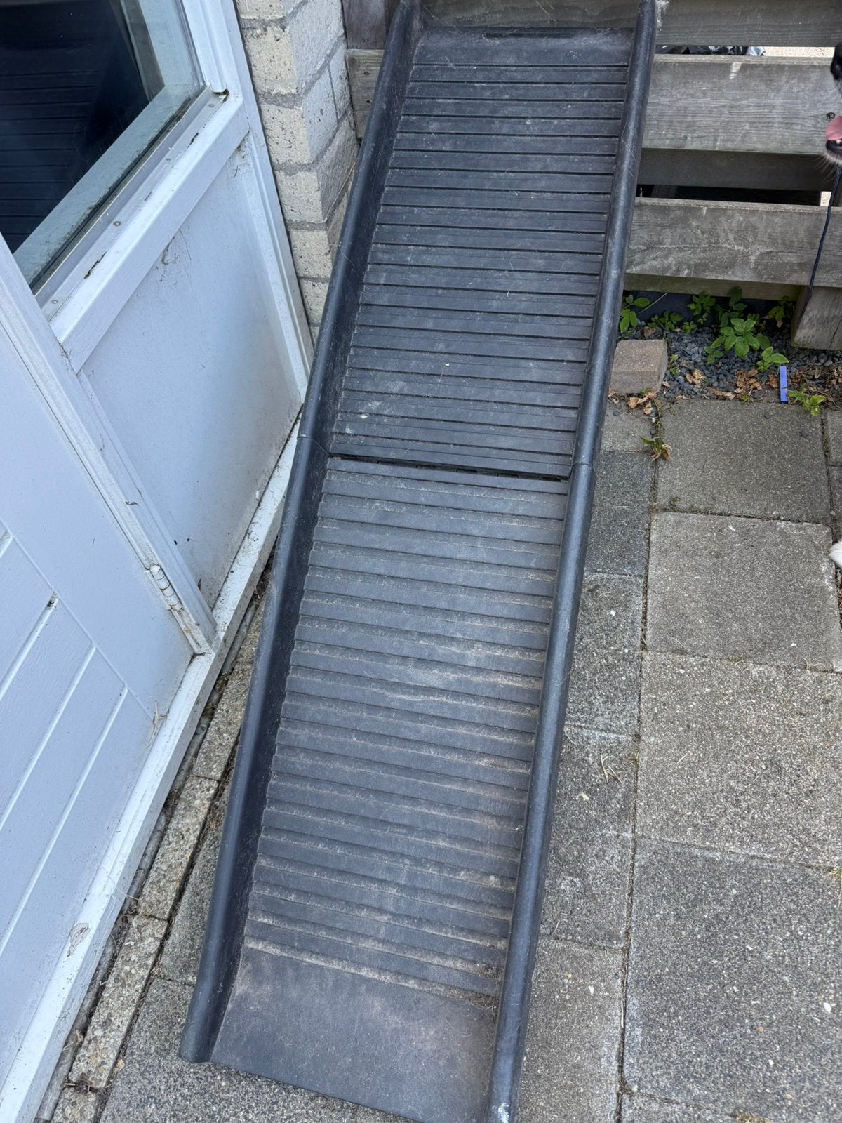 Trixie opvouwbare hondenhelling, Dieren en Toebehoren, Ophalen, Gebruikt