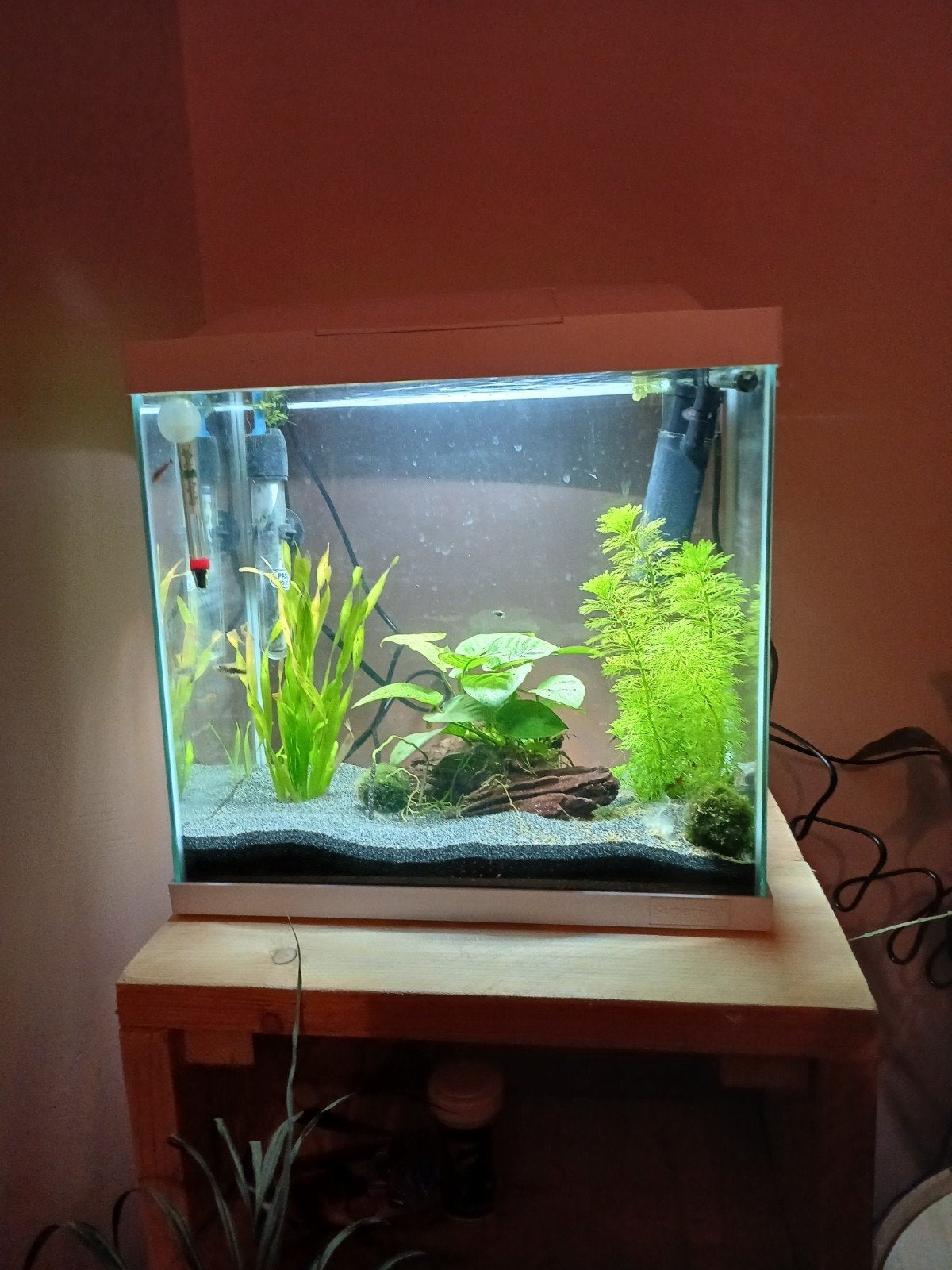 superfish aquarium, Ophalen, Gebruikt, Leeg aquarium, Superfish
