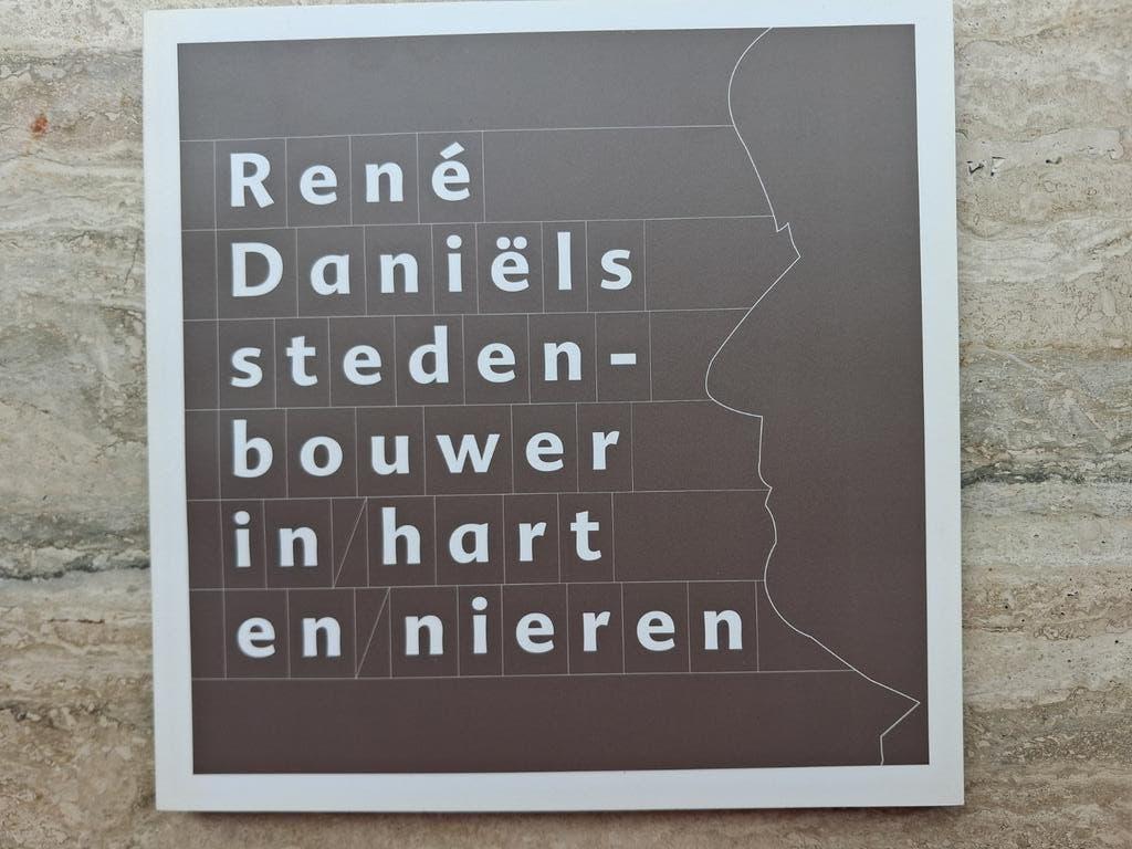 René Daniëls: Stedenbouwer in Hart en Nieren Boek, Ophalen of Verzenden, Zo goed als nieuw, René Daniëls, Nederland