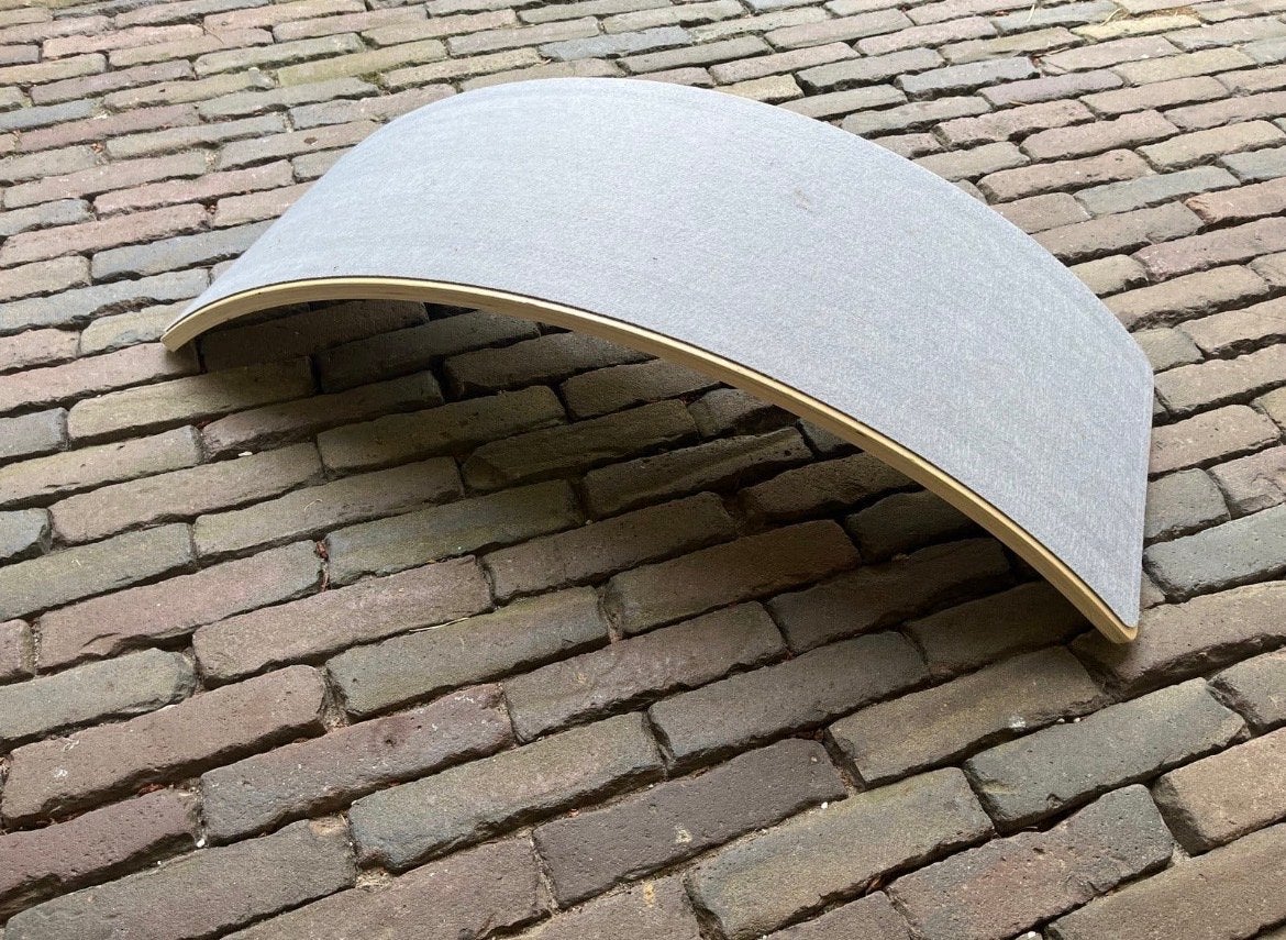 Wobbelboard met vilt - Balansbord voor kinderen, Ophalen, Gebruikt, Jongen of Meisje
