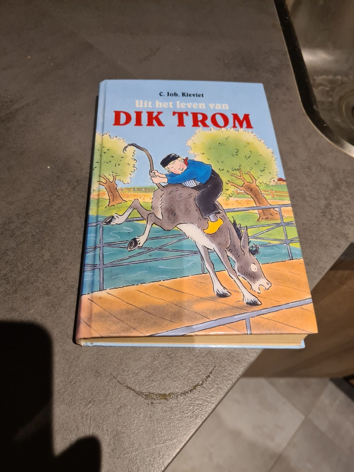 Dik trom, Ophalen of Verzenden, Fictie algemeen