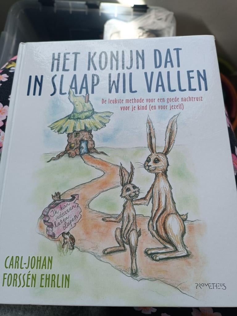 Het Konijn Dat In Slaap Wil Vallen - Forssén Ehrl, Ophalen of Verzenden, Zo goed als nieuw, Carl-Johan Forssén Ehrlin, Fictie algemeen