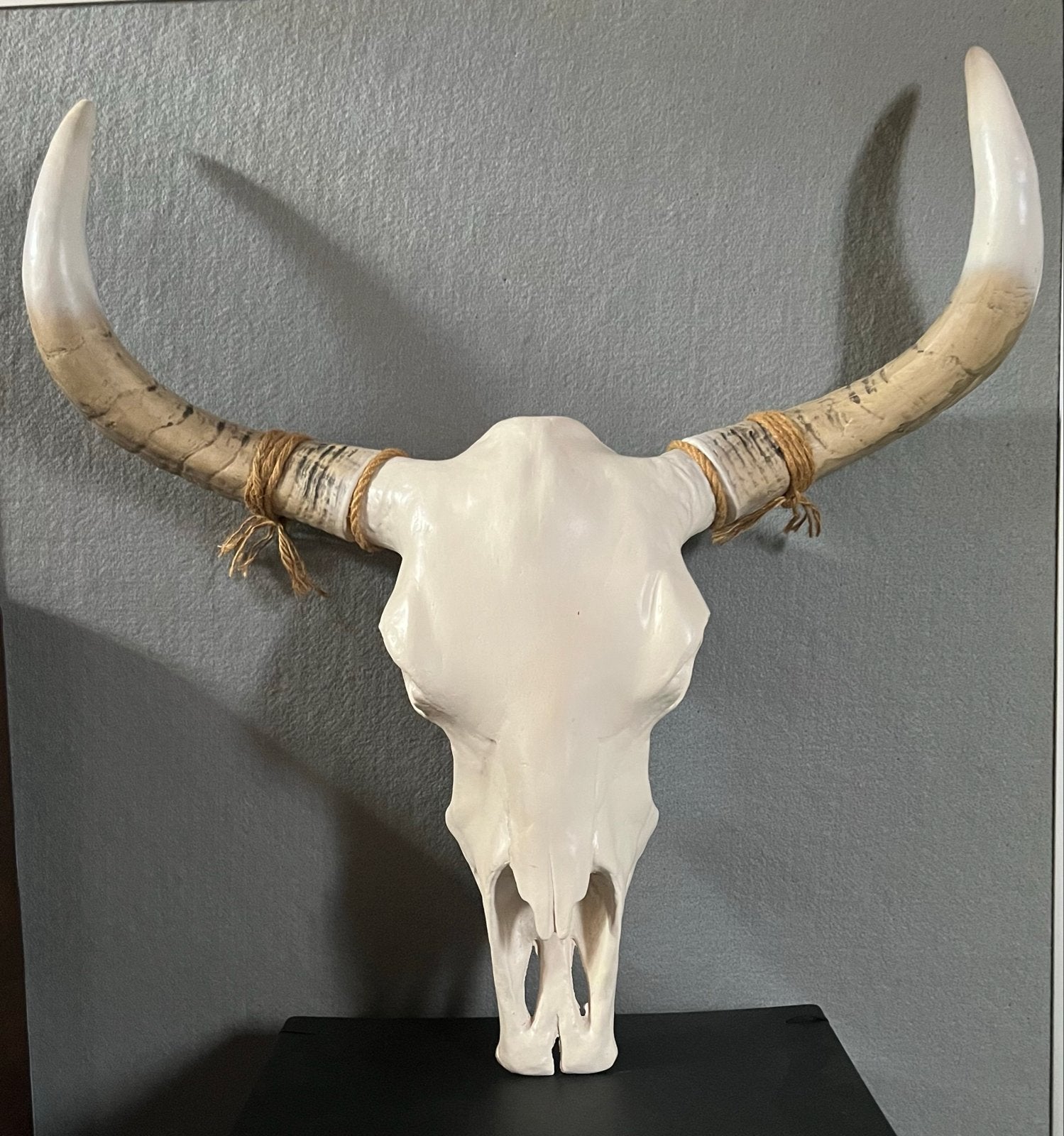 Decoratieve schedel met hoorns - Wanddecoratie, Huis en Inrichting, Woonaccessoires | Overige, Ophalen, Zo goed als nieuw, Natuurlijk materiaal