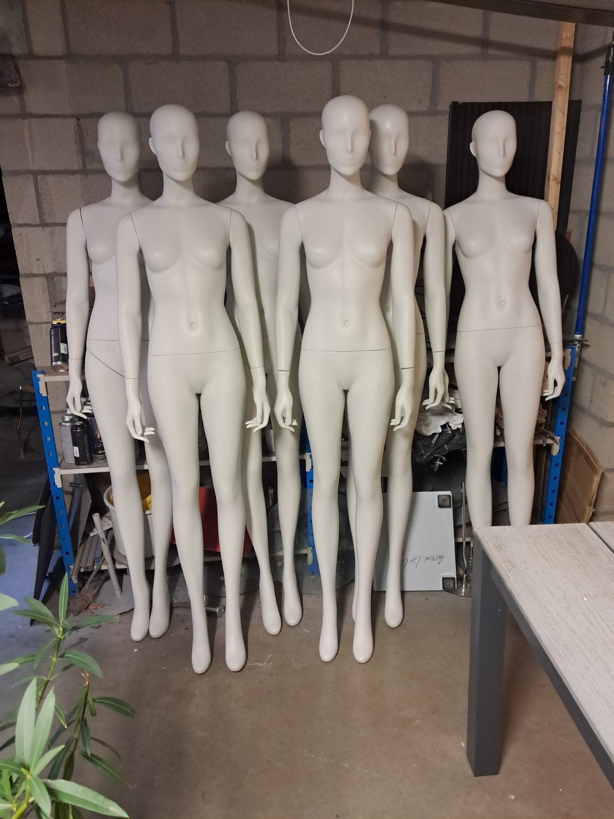 150x prof.etalagepoppen paspoppen paspop torso, Hans Boodt.., Ophalen of Verzenden, Paspop
