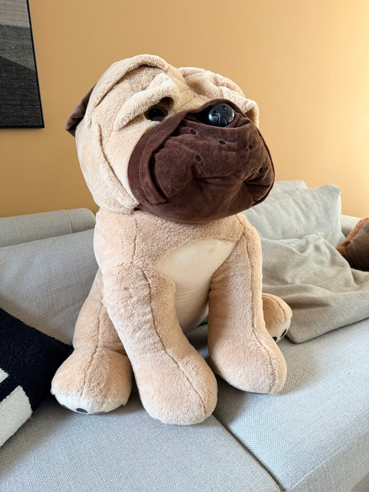 Knuffel hond, Ophalen, Zo goed als nieuw, Hond