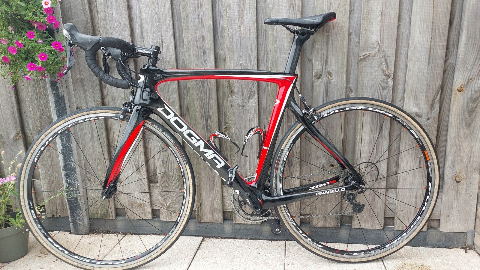 Pinarello Dogma F8 racefiets - Carbon, Shimano 105, 28 inch, Gebruikt, Carbon, Meer dan 20 versnellingen