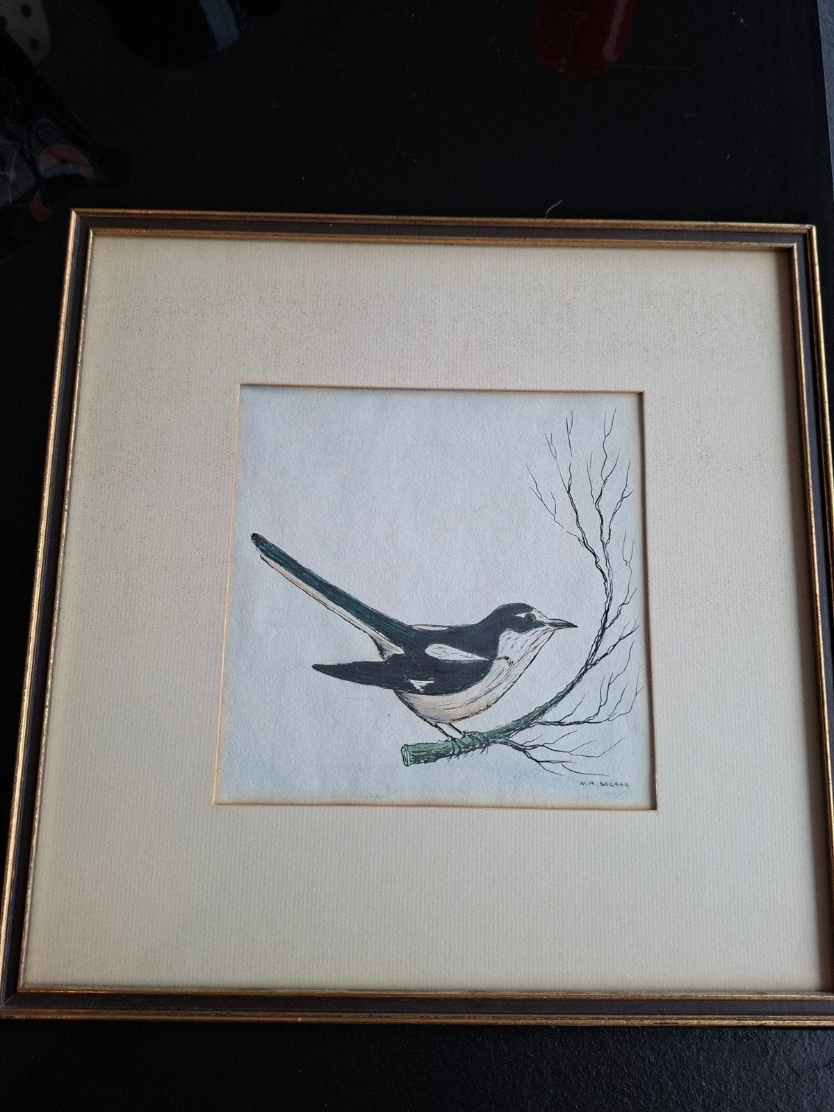 Aquarel en inktpen tekening van een ekster door N.A. Segaar, Ophalen of Verzenden