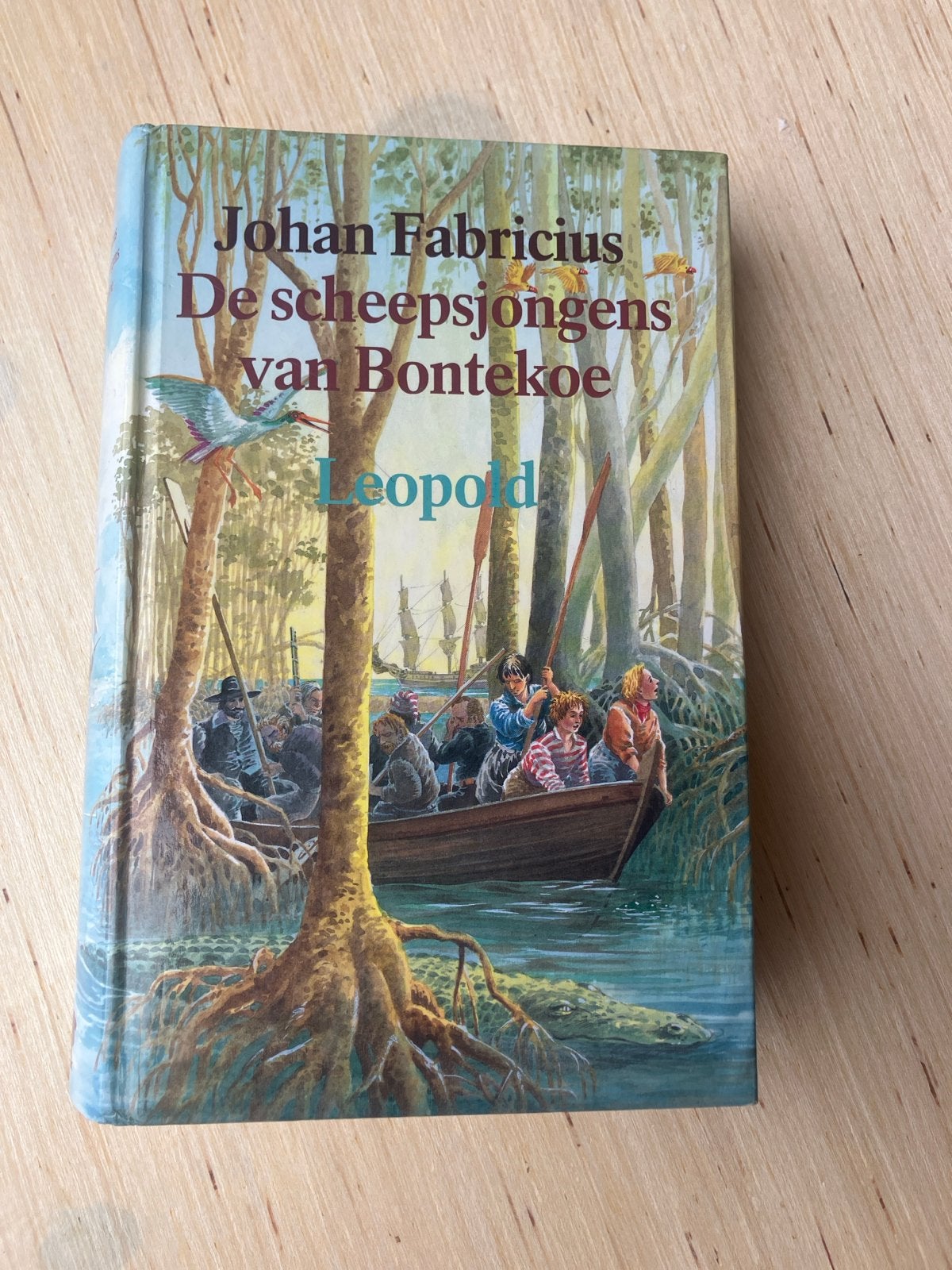 De scheepsjongens van Bontekoe - Johan Fabricius, Ophalen of Verzenden, Gelezen, Fictie algemeen