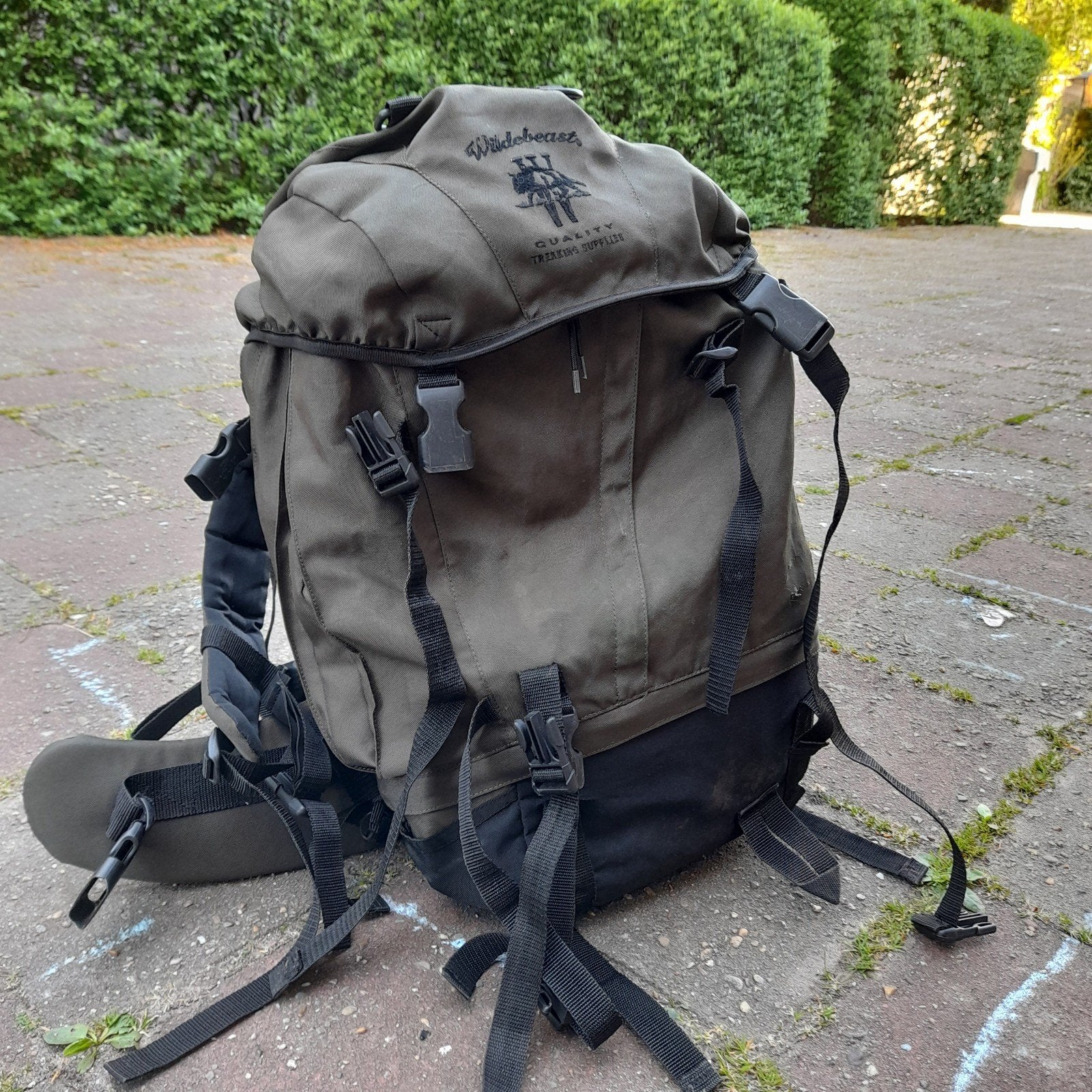 Waterdichte Backpack Trek-/wandelrugtas, Ophalen, Zo goed als nieuw, Groen, 30 cm of meer