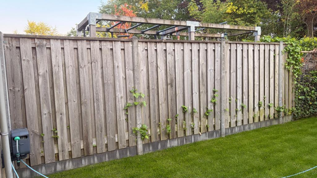 Gratis! 3 houten schuttingdelen 180x200 cm, Tuin en Terras, Ophalen, 3 tot 6 meter, Hout, 1 tot 2 meter