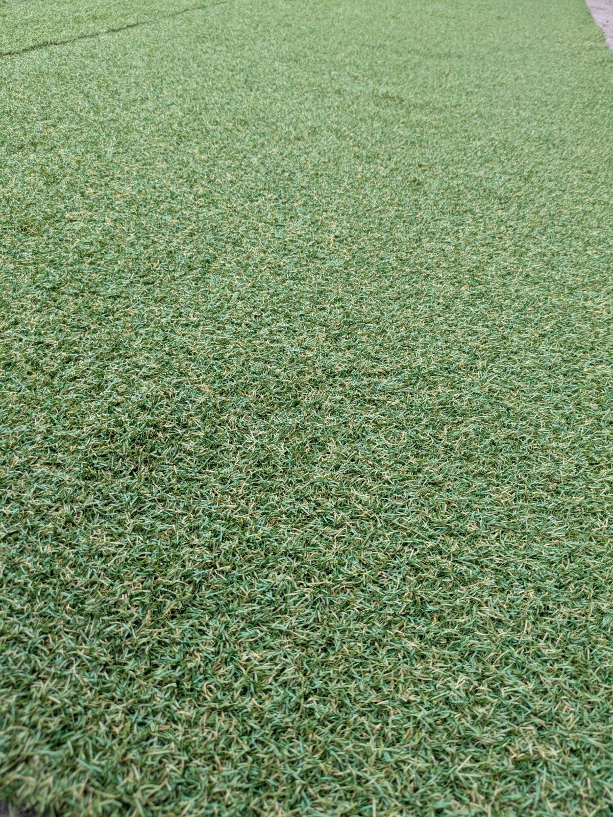 kunstgras nieuw 1,45x4m mosdraad siergras, Tuin en Terras, Ophalen, Nieuw, Minder dan 10 m², Kunstgras