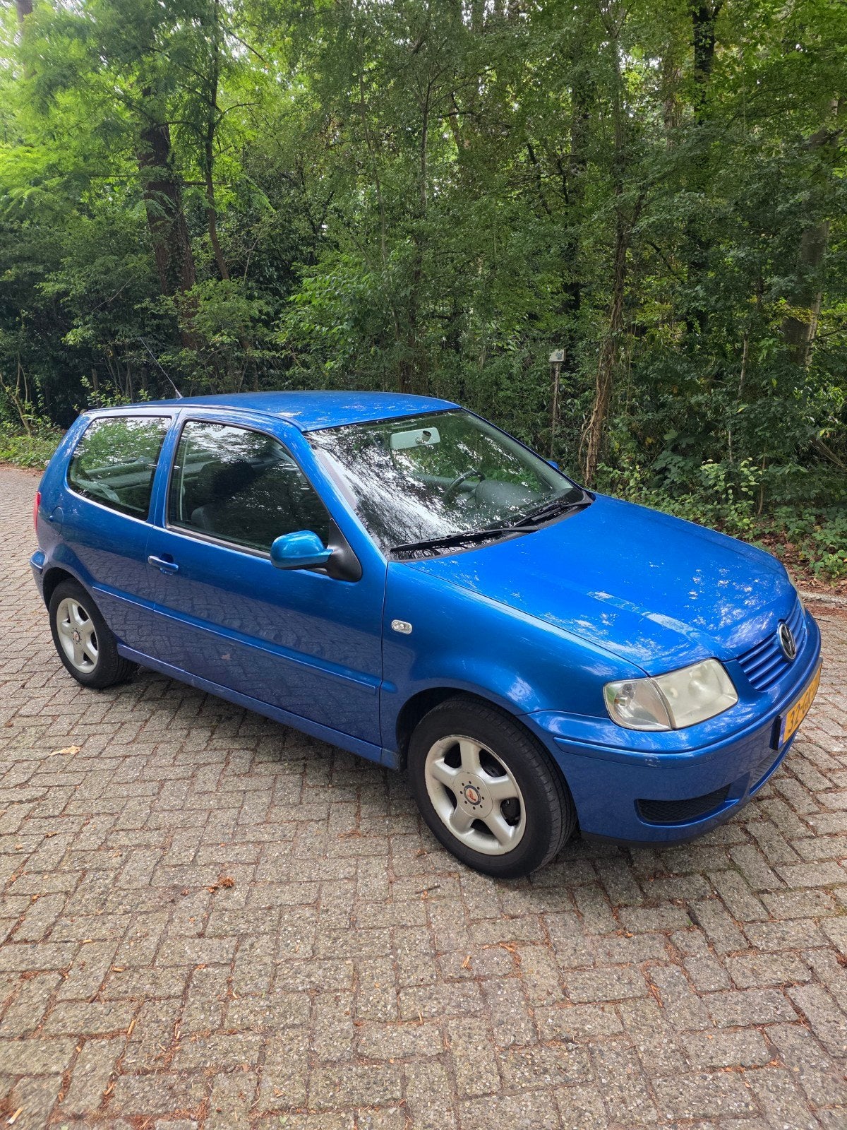 Volkswagen Polo 1.4 44KW 2001 Blauw, Voorwielaandrijving, 450 kg, 31 €/maand, 4 cilinders