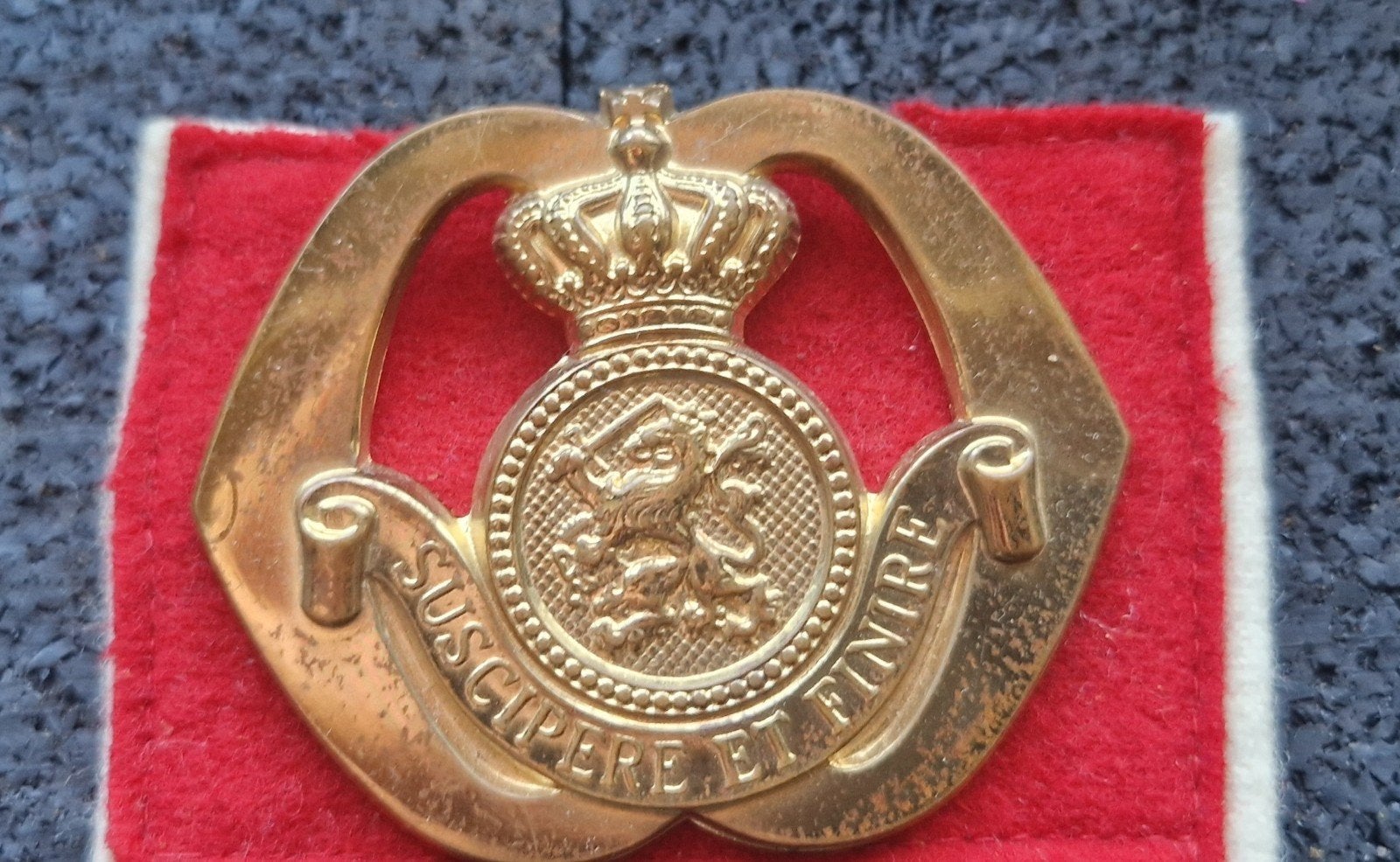 Baret embleem Opleidingscentrum Officieren van speciale, Verzamelen, Ophalen of Verzenden, Landmacht, Nederland, Embleem of Badge