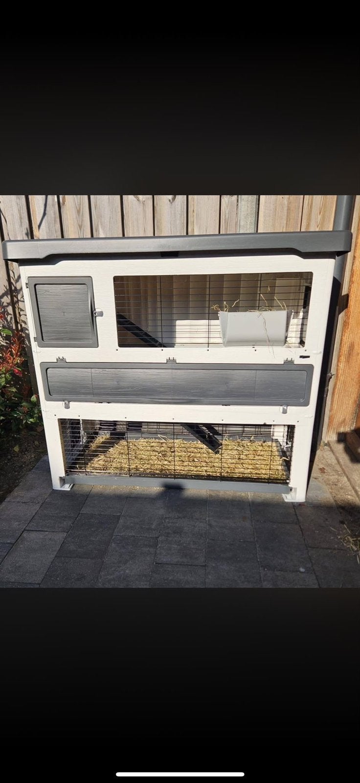 2 konijnen +konijnenhok, Dieren en Toebehoren, Ophalen, 110 cm of meer, Zo goed als nieuw, 90 cm of meer